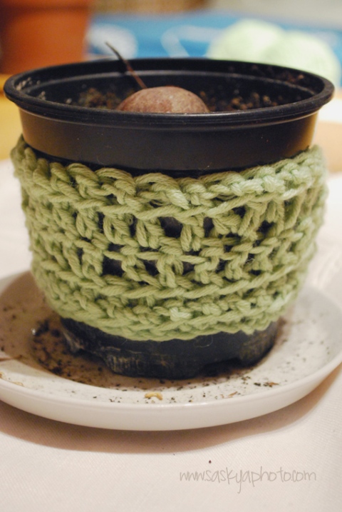 crochet work. ganchillo. stricken.